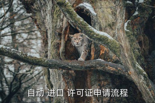 自動(dòng) 進(jìn)口 許可證申請(qǐng)流程