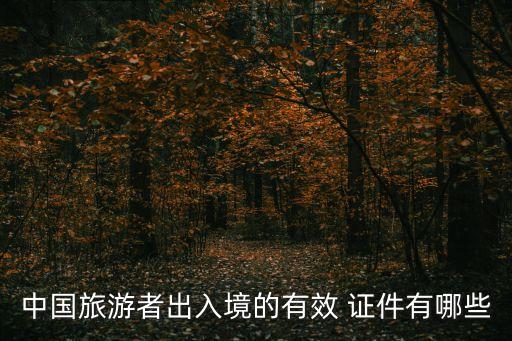 中國(guó)旅游者出入境的有效 證件有哪些
