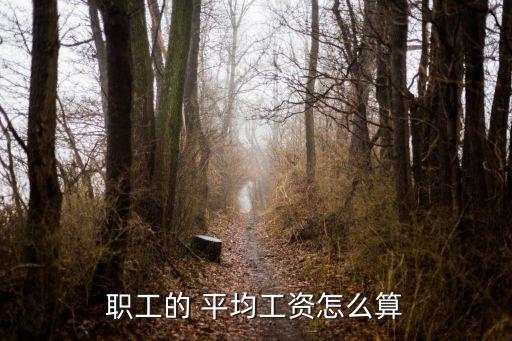 職工的 平均工資怎么算