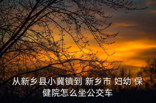 從新鄉(xiāng)縣小冀鎮(zhèn)到 新鄉(xiāng)市 婦幼 保健院怎么坐公交車