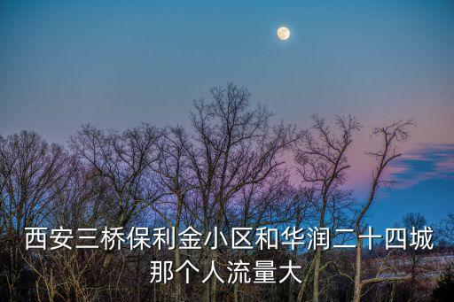  西安三橋保利金小區(qū)和華潤(rùn)二十四城那個(gè)人流量大
