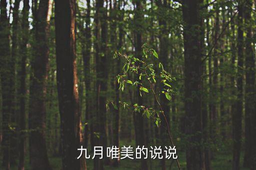 你好時(shí)間,明天你好時(shí)間