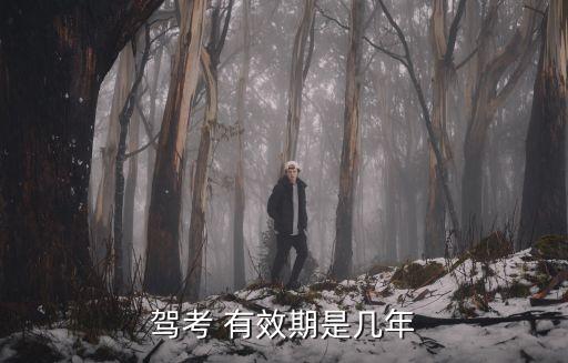 駕考 有效期是幾年