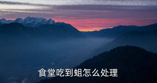 食堂吃到蛆怎么處理