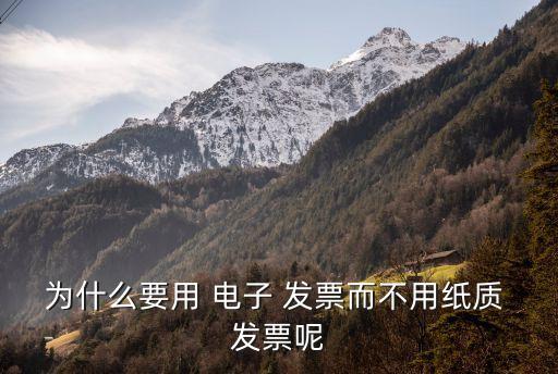 電子發(fā)票有什么用,拼多多電子發(fā)票有什么用