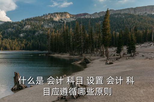 會(huì)計(jì)科目設(shè)置