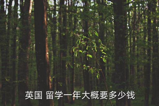 英國(guó)留學(xué)學(xué)費(fèi)