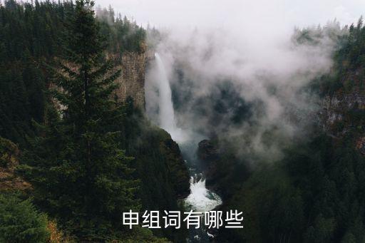 申組詞有哪些