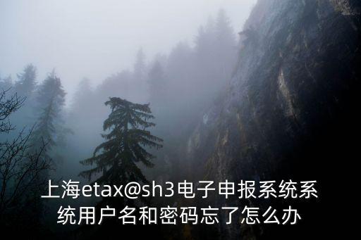 上海etax@sh3電子申報(bào)系統(tǒng)系統(tǒng)用戶名和密碼忘了怎么辦