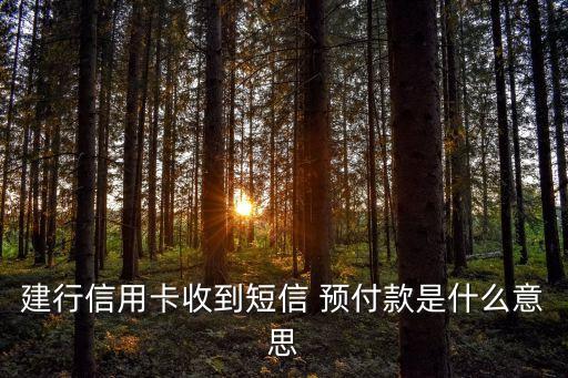預(yù)付款是什么意思,取消扣除全部預(yù)付款是什么意思