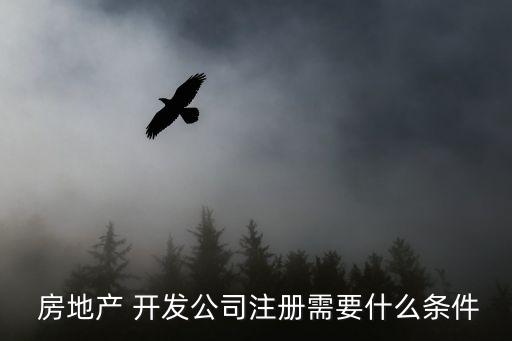 房地產(chǎn)開(kāi)發(fā)企業(yè)資質(zhì)管理規(guī)定,江西省房地產(chǎn)開(kāi)發(fā)企業(yè)資質(zhì)管理規(guī)定