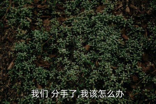 我們已經(jīng)分手了,放開我,你要干什么,我們已經(jīng)分手了