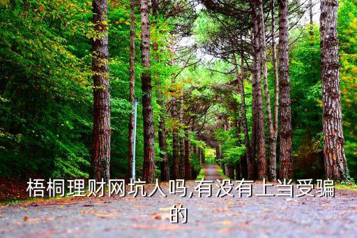  梧桐理財(cái)網(wǎng)坑人嗎,有沒有上當(dāng)受騙的