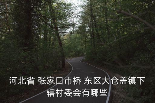 河北省 張家口市橋 東區(qū)大倉蓋鎮(zhèn)下轄村委會有哪些