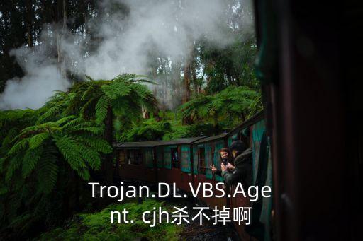 Trojan.DL.VBS.Agent. cjh殺不掉啊