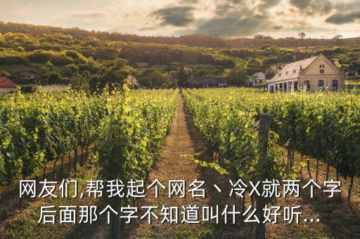 網(wǎng)友們,幫我起個網(wǎng)名丶冷X就兩個字后面那個字不知道叫什么好聽...