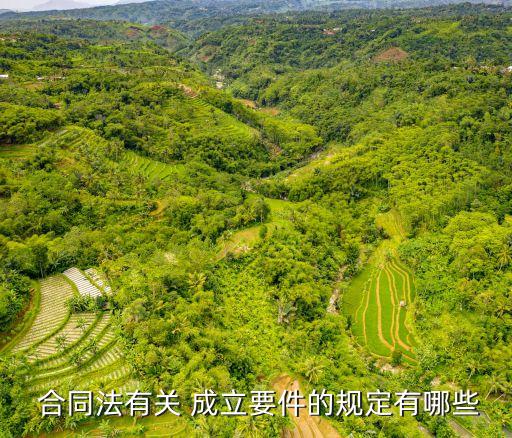  合同法有關(guān) 成立要件的規(guī)定有哪些