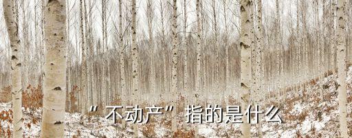 不動產(chǎn)是什么,21世紀(jì)不動產(chǎn)是什么