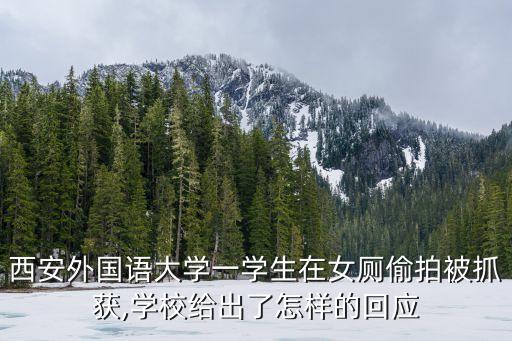 西安外國(guó)語(yǔ)大學(xué)一學(xué)生在女廁偷拍被抓獲,學(xué)校給出了怎樣的回應(yīng)