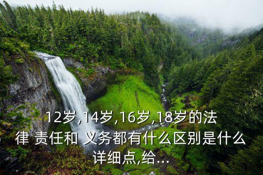 責(zé)任和義務(wù)的區(qū)別