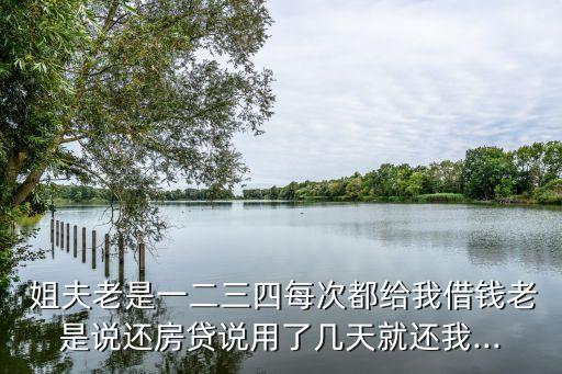 姐夫總是