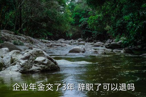 企業(yè)年金辭職了怎么辦,年金險的優(yōu)點和缺點