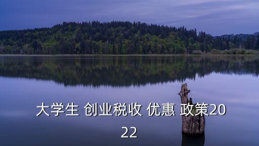  大學(xué)生 創(chuàng)業(yè)稅收 優(yōu)惠 政策2022