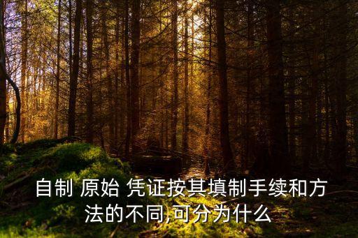自制原始憑證
