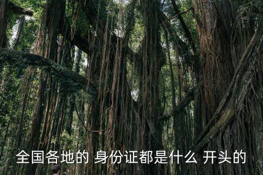 全國各地的 身份證都是什么 開頭的