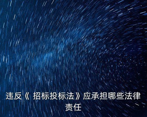 違反《 招標投標法》應(yīng)承擔(dān)哪些法律責(zé)任