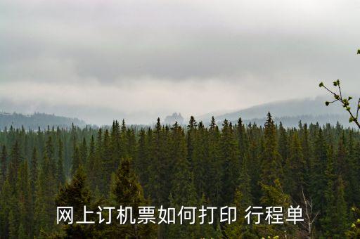 旅行社電子行程單制作流程,全國旅游管理系統(tǒng)平臺