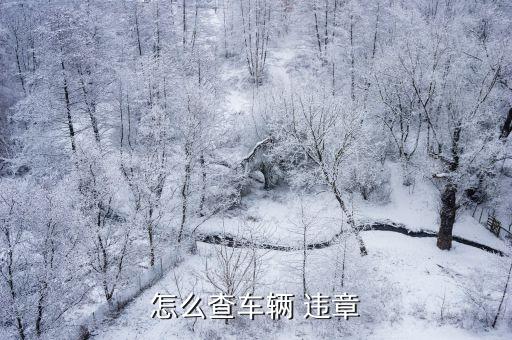 查詢汽車(chē)違章,從交管12123上怎么查詢汽車(chē)違章