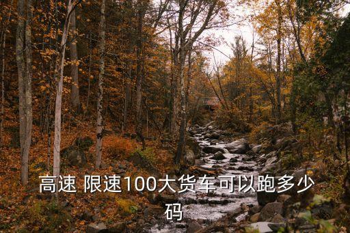  高速 限速100大貨車可以跑多少碼