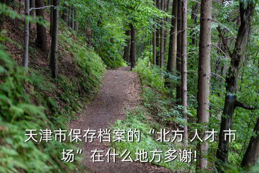  天津市保存檔案的“北方 人才 市場(chǎng)”在什么地方多謝!