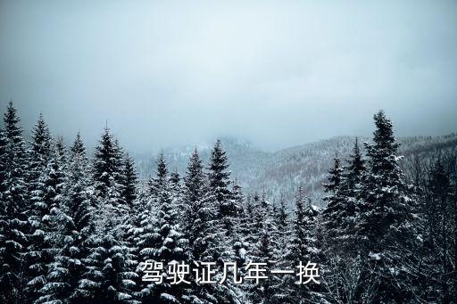  駕駛證幾年一換