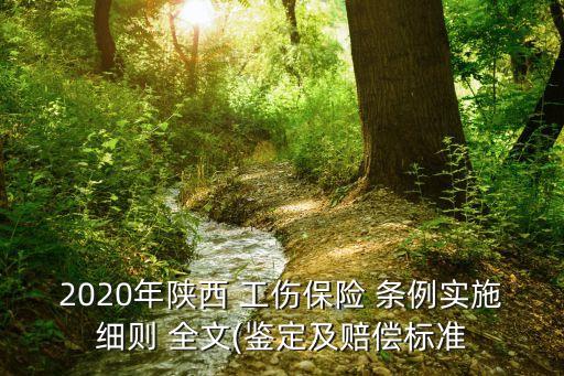 2020年陜西 工傷保險(xiǎn) 條例實(shí)施細(xì)則 全文(鑒定及賠償標(biāo)準(zhǔn)