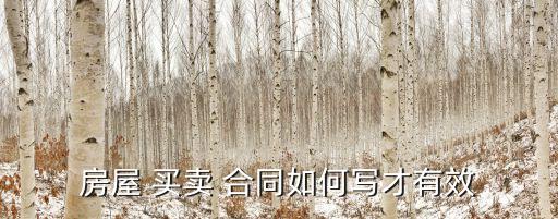 房屋 買賣 合同如何寫才有效