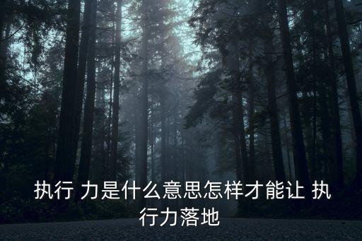 執(zhí)行力是什么意思,強(qiáng)大的執(zhí)行力是什么意思