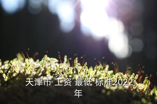 天津市最低工資標(biāo)準(zhǔn),2022年天津市最低工資標(biāo)準(zhǔn)