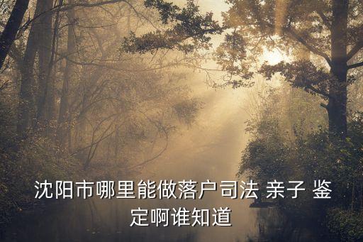  沈陽市哪里能做落戶司法 親子 鑒定啊誰知道