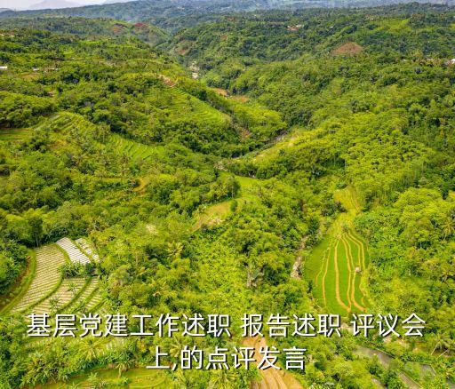 一報告兩評議指什么,干部選拔任用一報告兩評議指什么