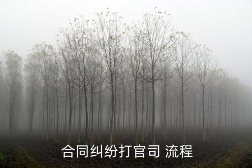  合同糾紛打官司 流程