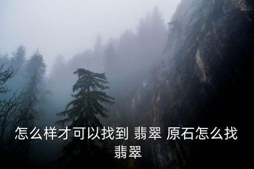 瑞麗翡翠原石