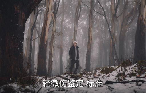 參考標準,沙發(fā)的尺寸以什么為參考標準