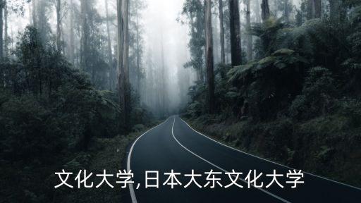 大東文化大學(xué),日本大東文化大學(xué)