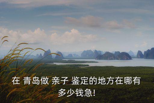青島親子鑒定