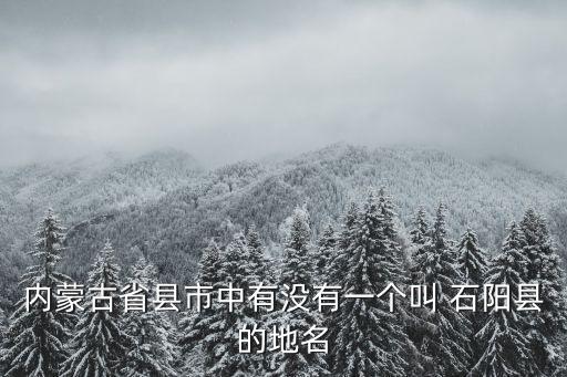 石陽