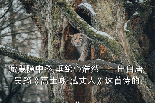 臧叟隱中壑,垂綸心浩然——出自唐· 吳筠《高士詠·臧丈人》這首詩(shī)的...