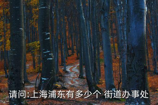 滬東新村街道,上海市滬東新村街道