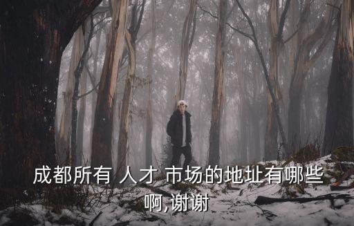  成都所有 人才 市場(chǎng)的地址有哪些啊,謝謝